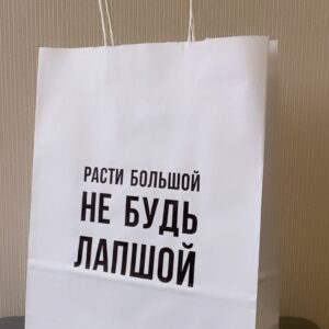Подарочный пакет с кручеными ручками белый 240x105x320 "Расти большой"